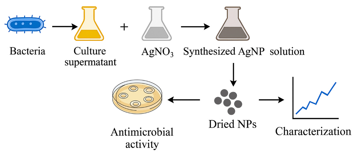 Graphical Abstract